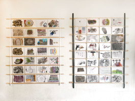 366 drawings by Sophia Tabatadze