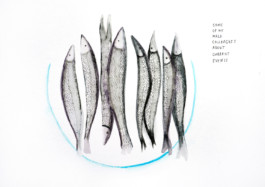 366 drawings by Sophia Tabatadze