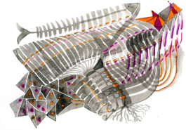 366 drawings by Sophia Tabatadze