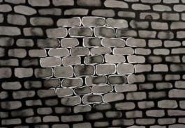 366 drawings by Sophia Tabatadze