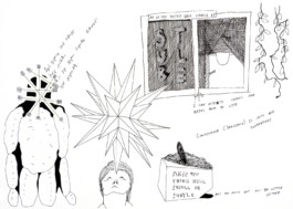 366 drawings by Sophia Tabatadze