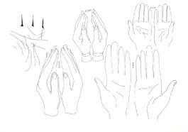 366 drawings by Sophia Tabatadze