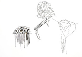 366 drawings by Sophia Tabatadze