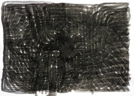 366 drawings by Sophia Tabatadze