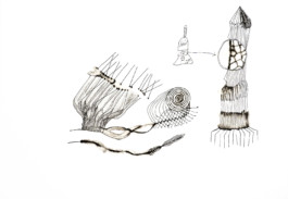 366 drawings by Sophia Tabatadze