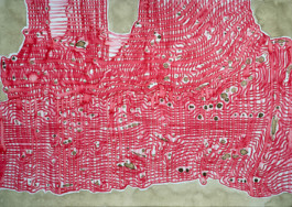 366 drawings by Sophia Tabatadze