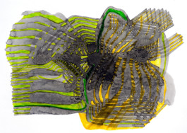 366 drawings by Sophia Tabatadze