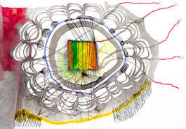 366 drawings by Sophia Tabatadze