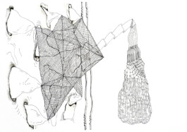 366 drawings by Sophia Tabatadze