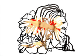 366 drawings by Sophia Tabatadze