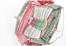 366 drawings by Sophia Tabatadze