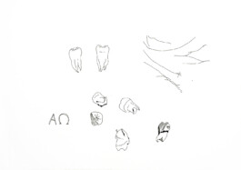 366 drawings by Sophia Tabatadze