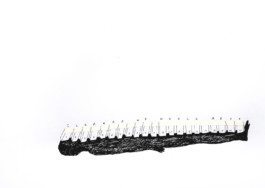 366 drawings by Sophia Tabatadze