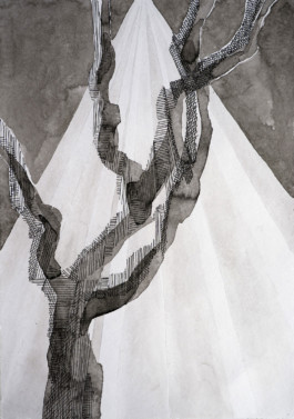 366 drawings by Sophia Tabatadze