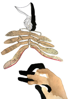 366 drawings by Sophia Tabatadze