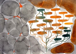 366 drawings by Sophia Tabatadze