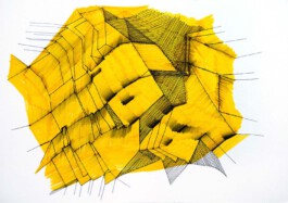 366 drawings by Sophia Tabatadze