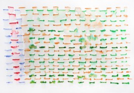 366 drawings by Sophia Tabatadze