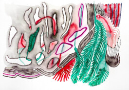 366 drawings by Sophia Tabatadze