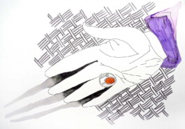 366 drawings by Sophia Tabatadze