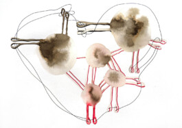 366 drawings by Sophia Tabatadze