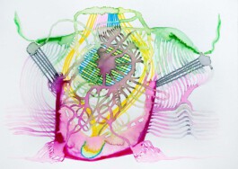 366 drawings by Sophia Tabatadze