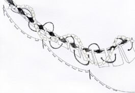 366 drawings by Sophia Tabatadze