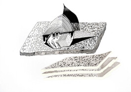 366 drawings by Sophia Tabatadze