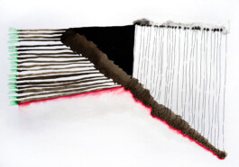 366 drawings by Sophia Tabatadze