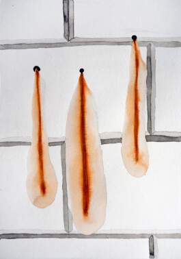 366 drawings by Sophia Tabatadze