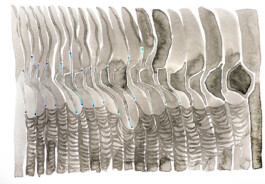 366 drawings by Sophia Tabatadze