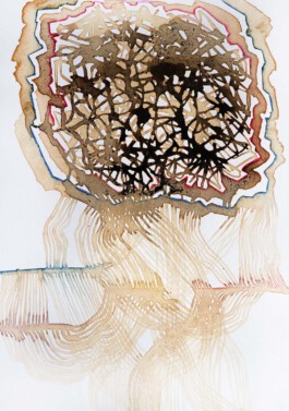 366 drawings by Sophia Tabatadze