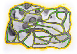 366 drawings by Sophia Tabatadze