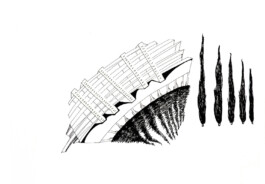 366 drawings by Sophia Tabatadze