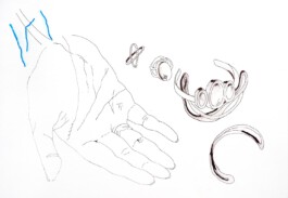 366 drawings by Sophia Tabatadze