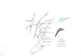 366 drawings by Sophia Tabatadze