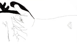 366 drawings by Sophia Tabatadze