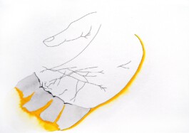 366 drawings by Sophia Tabatadze