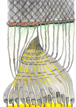 366 drawings by Sophia Tabatadze