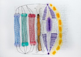 366 drawings by Sophia Tabatadze