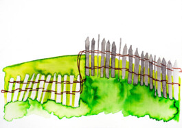 366 drawings by Sophia Tabatadze