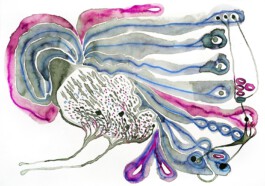 366 drawings by Sophia Tabatadze