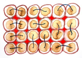 366 drawings by Sophia Tabatadze