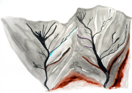 366 drawings by Sophia Tabatadze