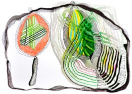 366 drawings by Sophia Tabatadze