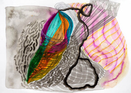 366 drawings by Sophia Tabatadze