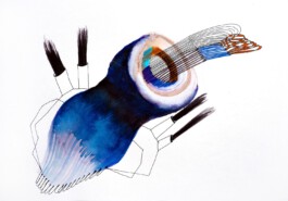 366 drawings by Sophia Tabatadze