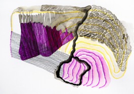 366 drawings by Sophia Tabatadze