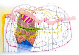 366 drawings by Sophia Tabatadze