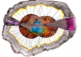 366 drawings by Sophia Tabatadze